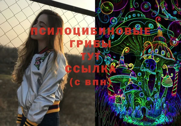 не бодяженный Гусь-Хрустальный