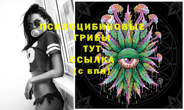 не бодяженный Гусь-Хрустальный