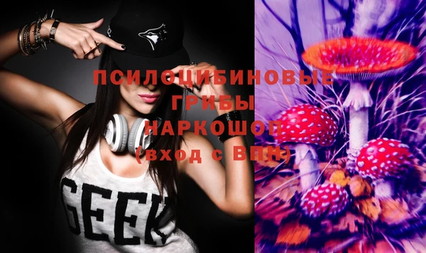 не бодяженный Гусь-Хрустальный
