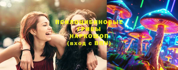 тгк Гусиноозёрск