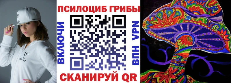 Галлюциногенные грибы MAGIC MUSHROOMS  мега   Ногинск  где купить наркоту 